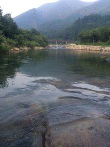 清津川　大物ヤマメ